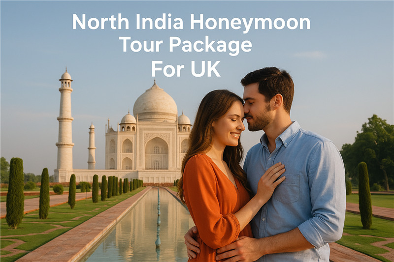 North India Honeymoon Tour Package